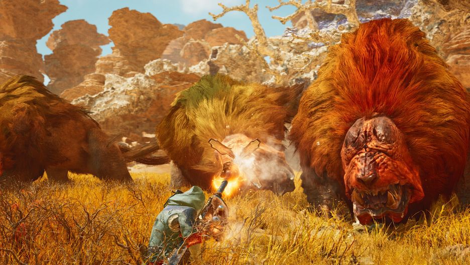 Monster Hunter Wilds


XBOX SERIES X