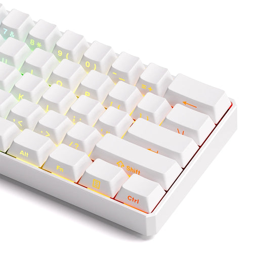 AKKO MonsGeek FUN60 ULTRA HE Wireless ANSI US Blanc